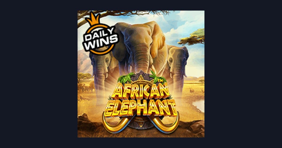 Menangkan African Elephant dengan Deposit Dana OVO Gopay dan Cashback Menarik