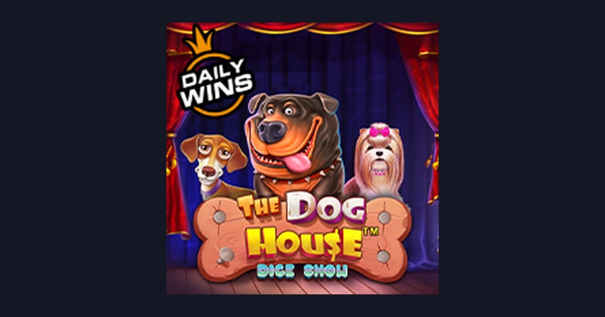 Panduan Menang The Dog House Dice Show dengan Tips Mudah untuk Pemula